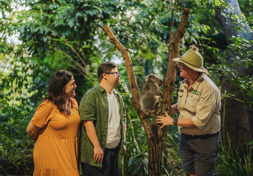 TEQ_Currumbin_CurrumbinWildlifeSanctuary_KoalaExperience.jpg