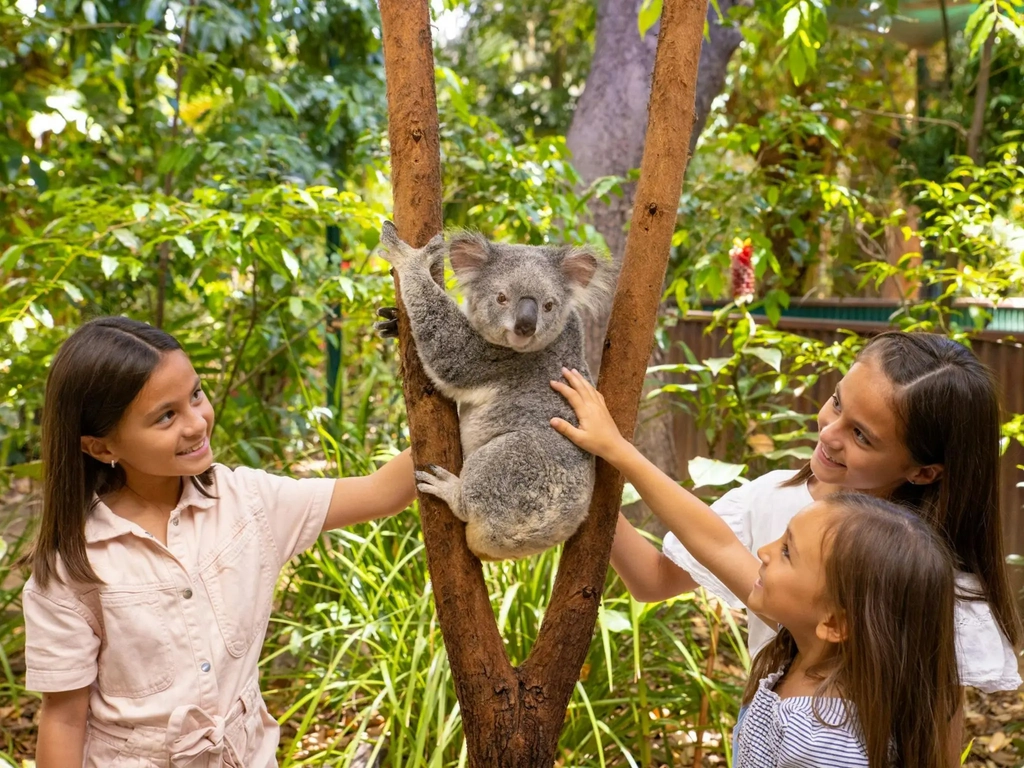Gold Coast wildlife experiences