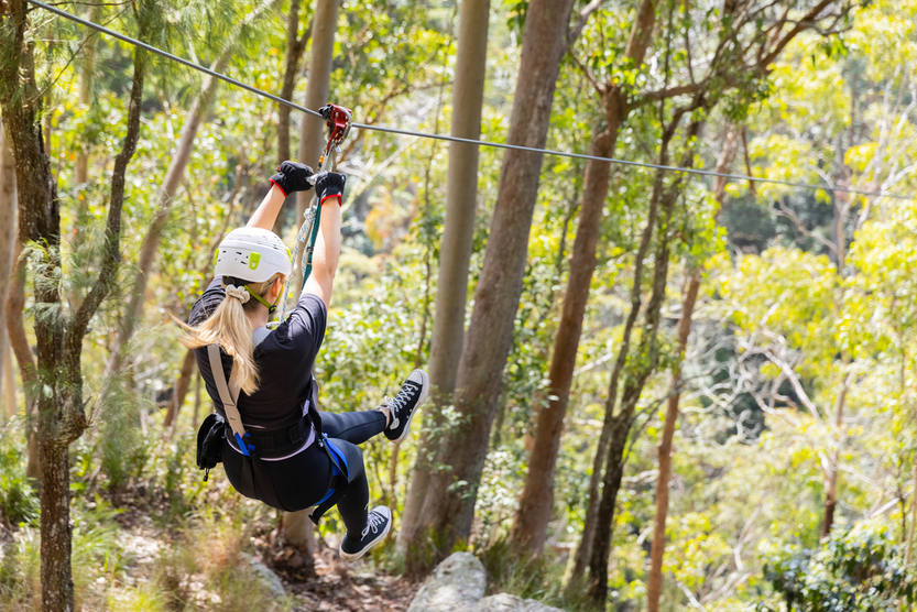 Treetop Challenge Mt Tamborine