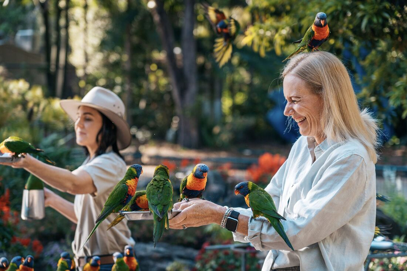 TEQ_GC_Currumbin_CurrumbinWildlifeSanctuary_JesseLindemann_DSC07545-7.jpg