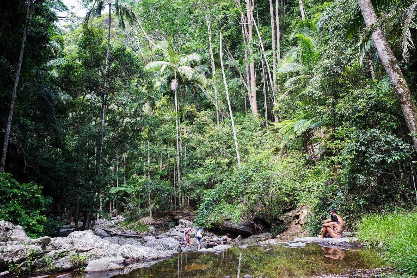 5 SPLASH-WORTHY WATERFALLS IN THE GOLD COAST HINTERLAND