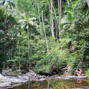 5 SPLASH-WORTHY WATERFALLS IN THE GOLD COAST HINTERLAND