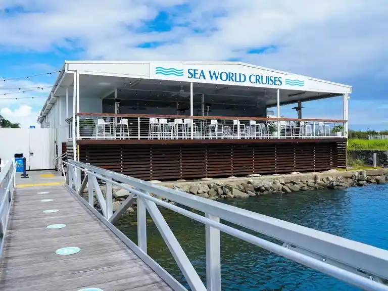 Sea World Whale Watch