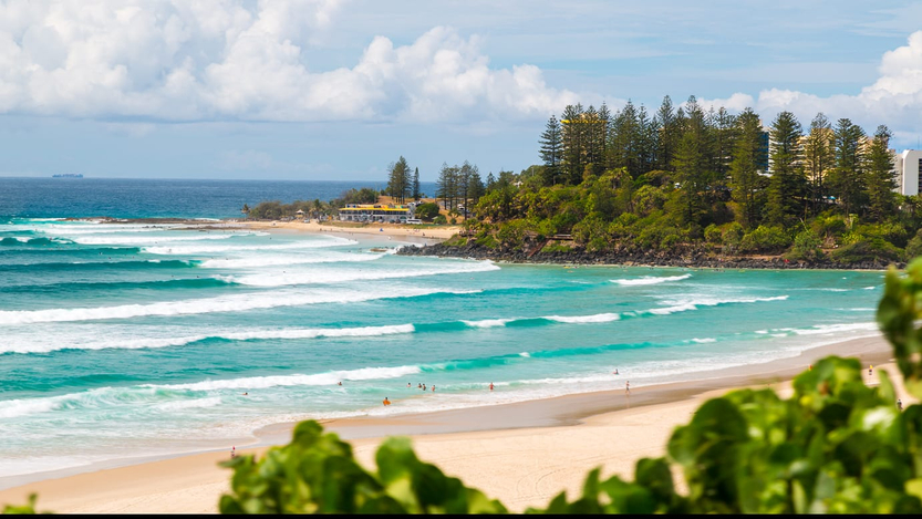 Snapper rocks deals surf club