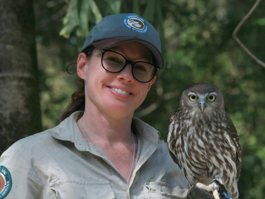 Barking owl perched on the gloved hand of a QPWS Ranger, in a natural bushland setting.