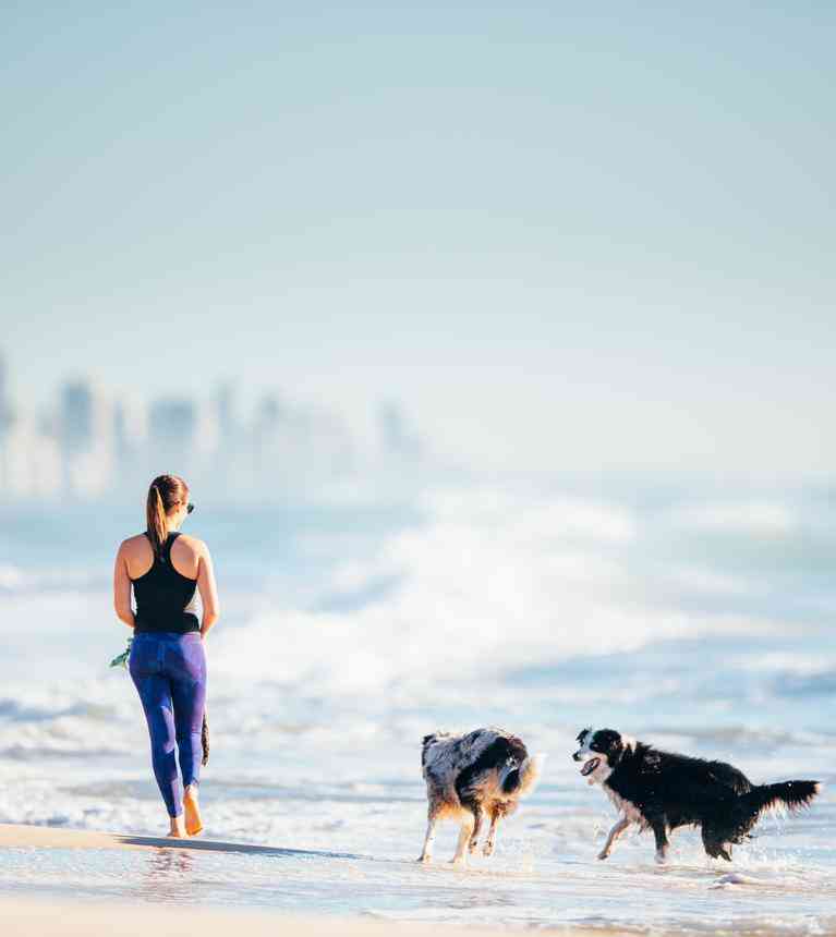 Currumbin Beach