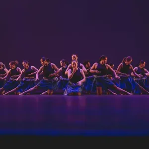 MAUI Image 1