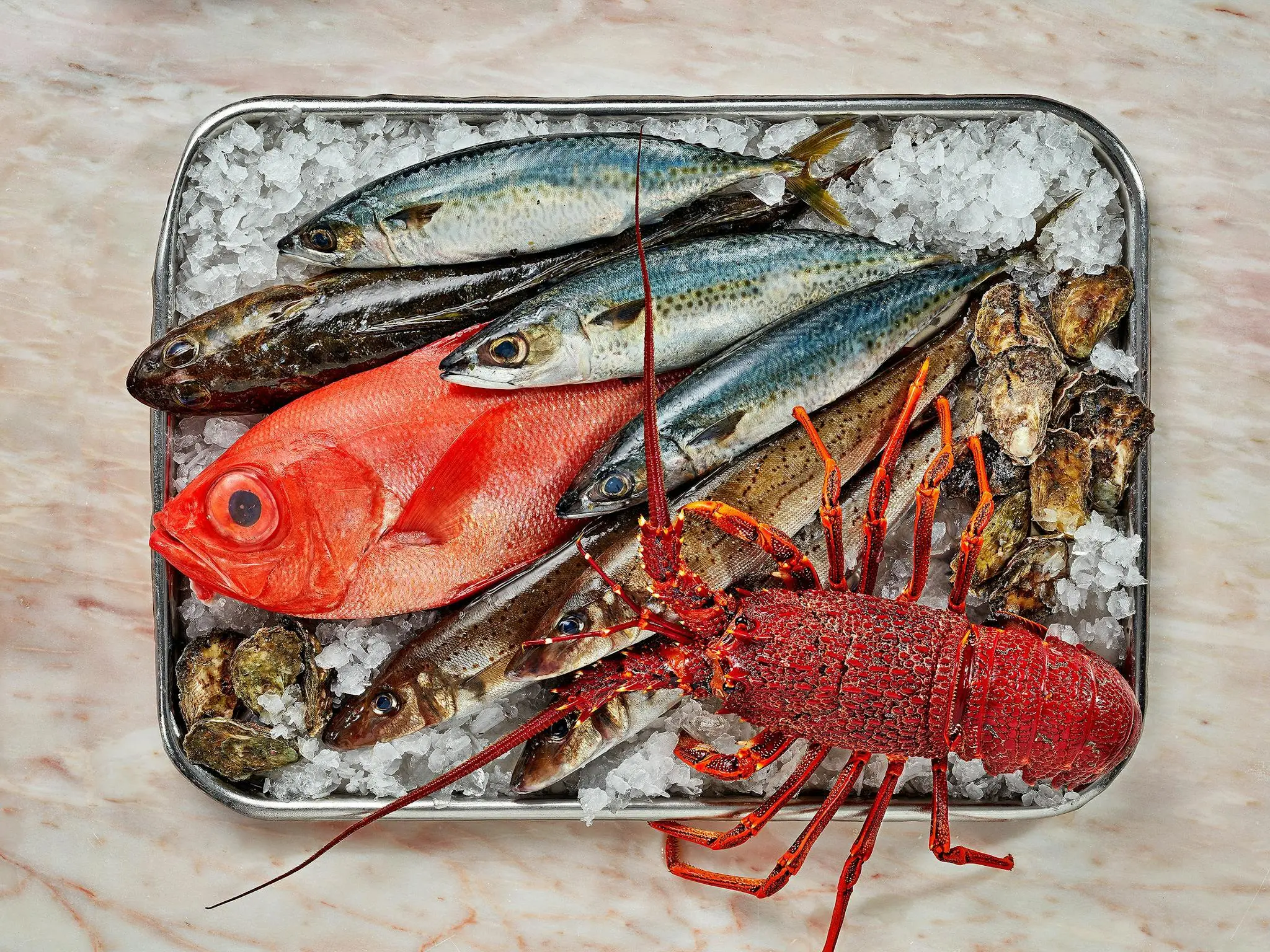 Miami Fish Market | Experience Gold Coast