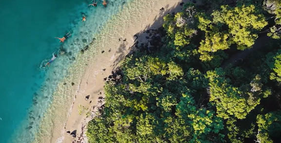 Gold Coast Nature Based Tourism Support Grants & Growth Opportunities.png