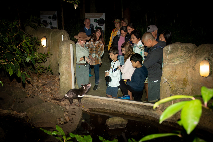 night tour gold coast