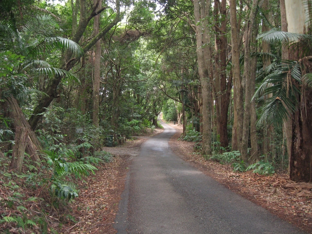 Stunning Gold Coast Hinterland