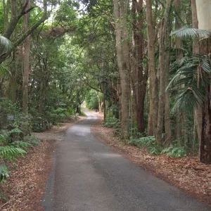 Stunning Gold Coast Hinterland