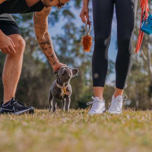 Gold Coast Dog Park