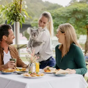 Valentine’s Day at Paradise Country Image 1