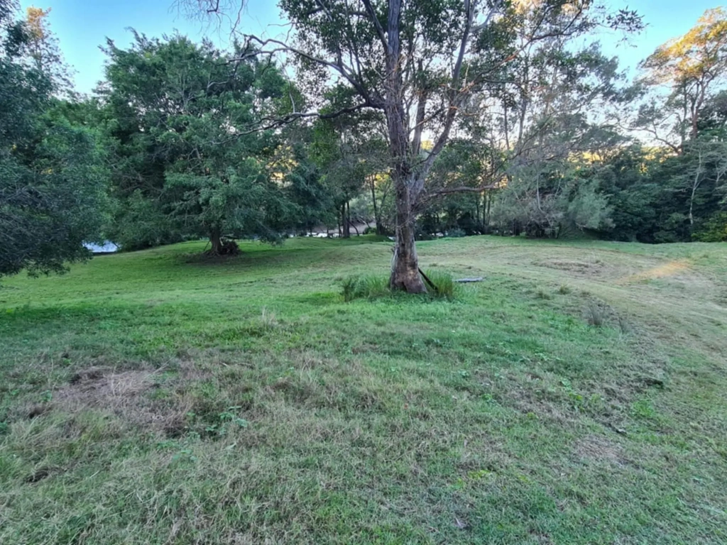 Koala Creek Camping