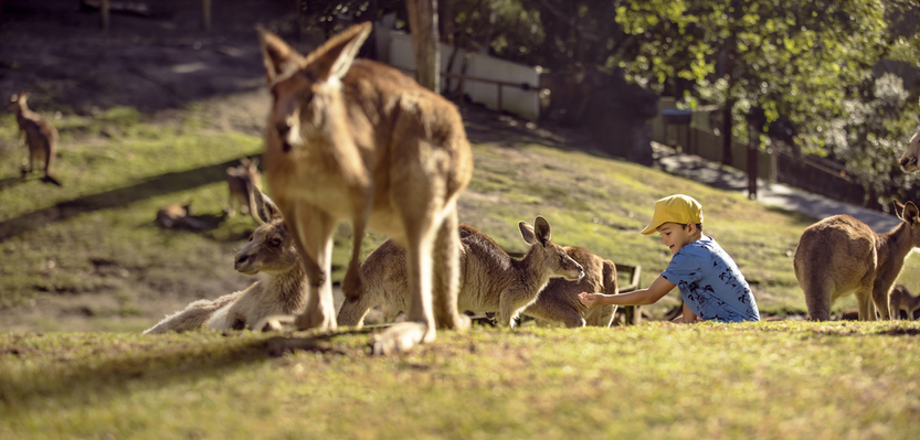 Currumbin Wildlife Sanctuary