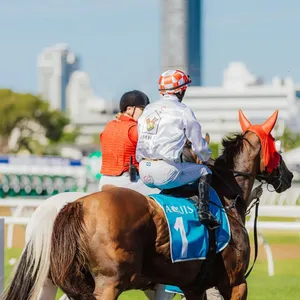 Ronald McDonald House Charities 2025 Race Day Image 1