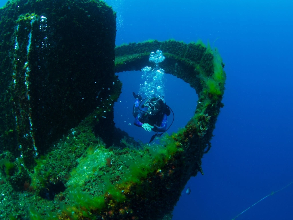 Diver with bubbles swims through a wonder reef underwater sculpture