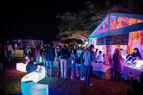 Night Bites Under Lights Image 3