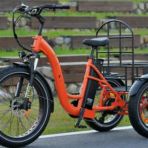 Cruiser