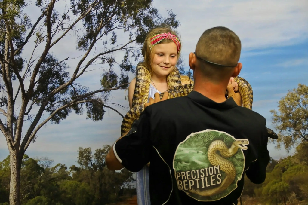 Surfers Paradise Christmas Twilight Market Image 3