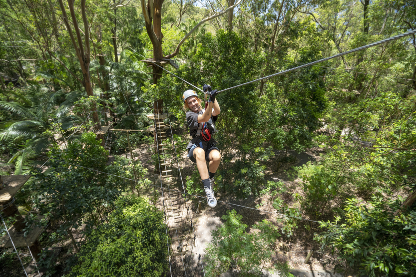 Treetop Challenge Currumbin