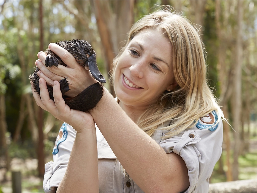 Female ranger holding Wally the platypus.