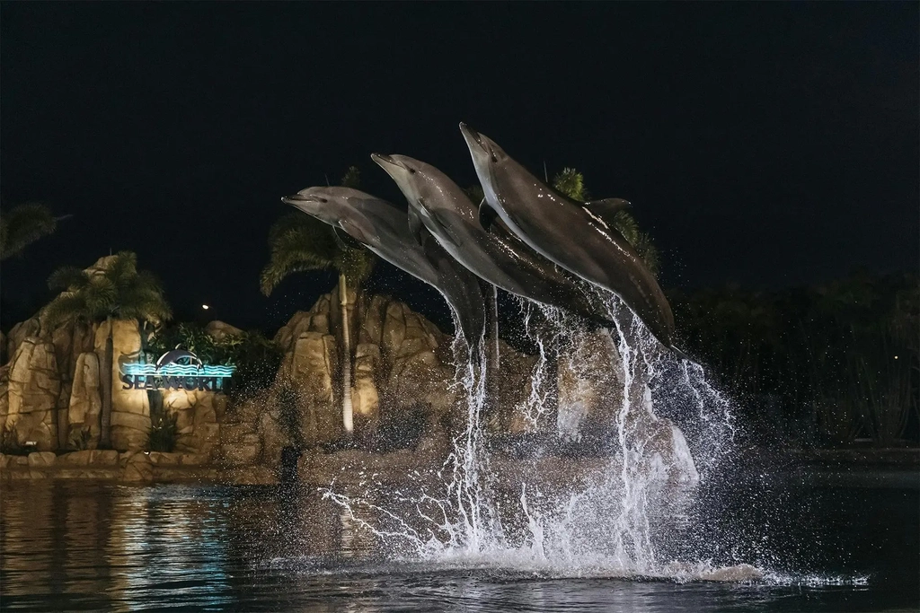 Spooky Nights at Sea World Image 5