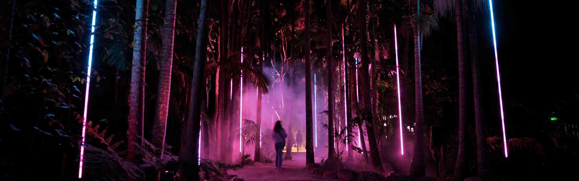 The Best Things To Do At Night On The Gold Coast