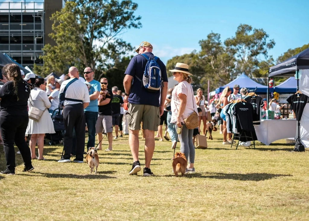 Dogs on the Green Christmas in July Image 2