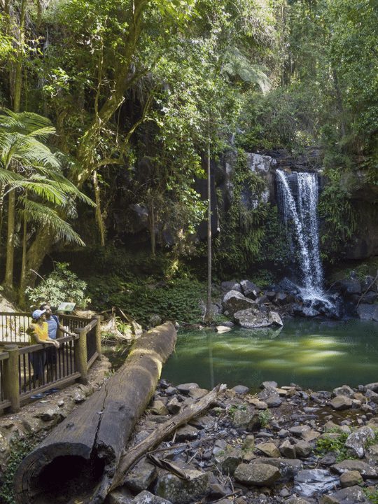 curtis-falls-tamborine
