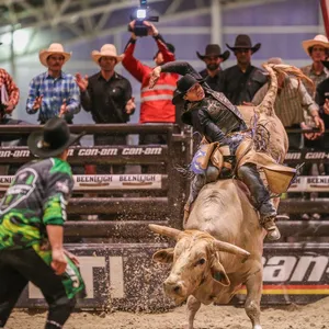 PBR Monster Energy Tour Beaudesert Invitational Image 1