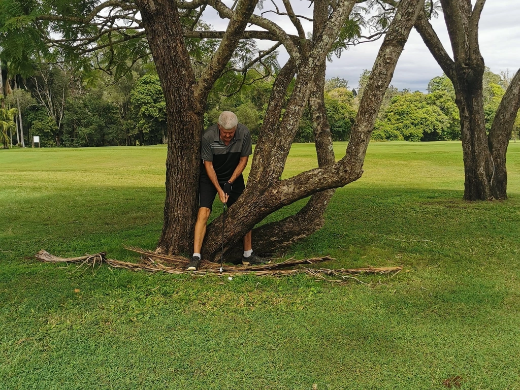 Using your tree iron