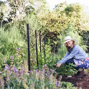 Edible Garden Trail Image 1