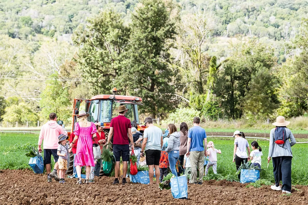 Harvest with the Farmer Image 1