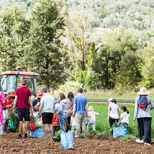 Harvest with the Farmer Image 1