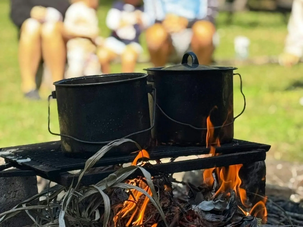 Gold Coast Hinterland Nature Adventures for Kids (School Holidays) Image 2