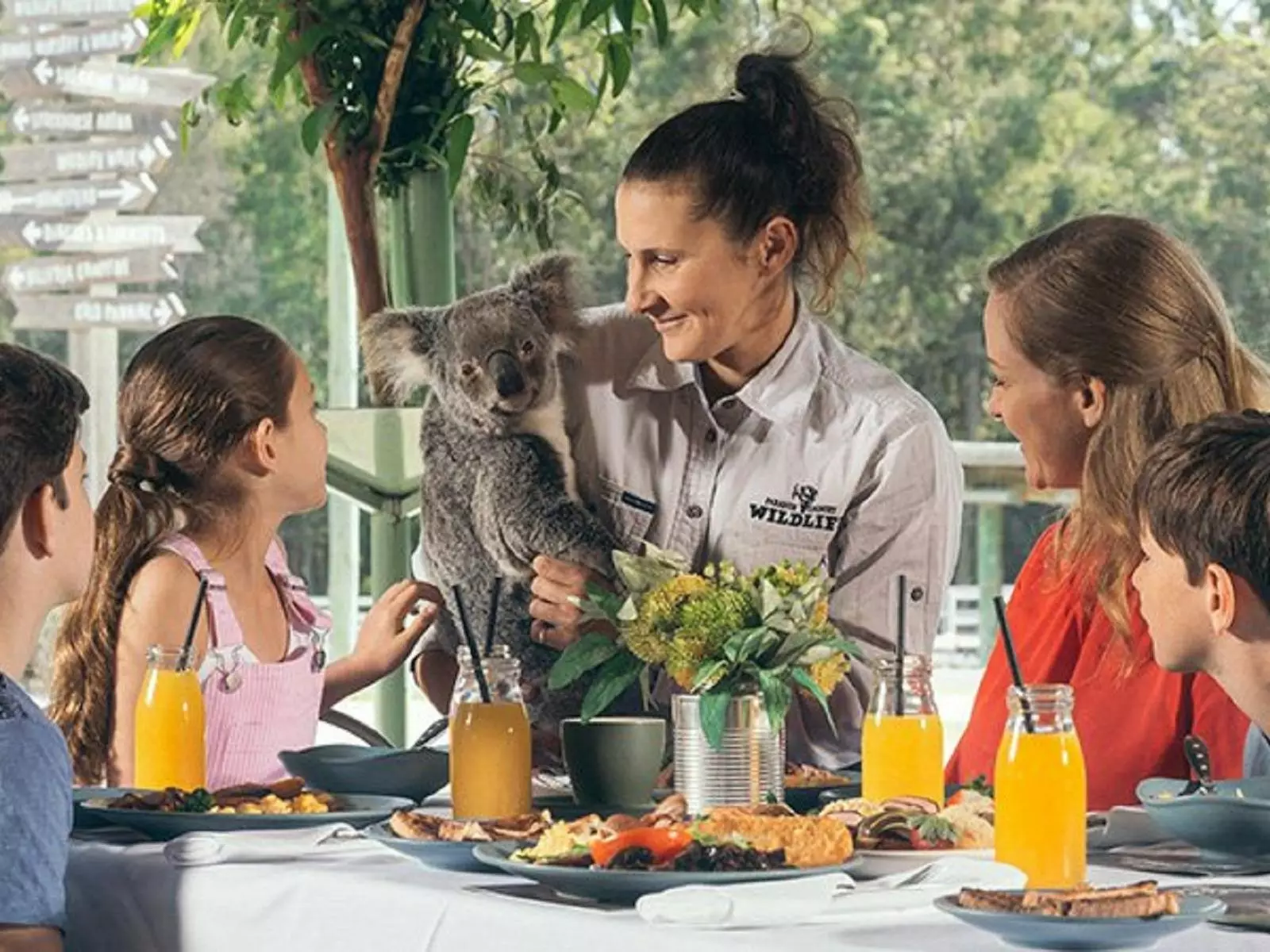 Enjoy Breakfast with the Koalas from $50
