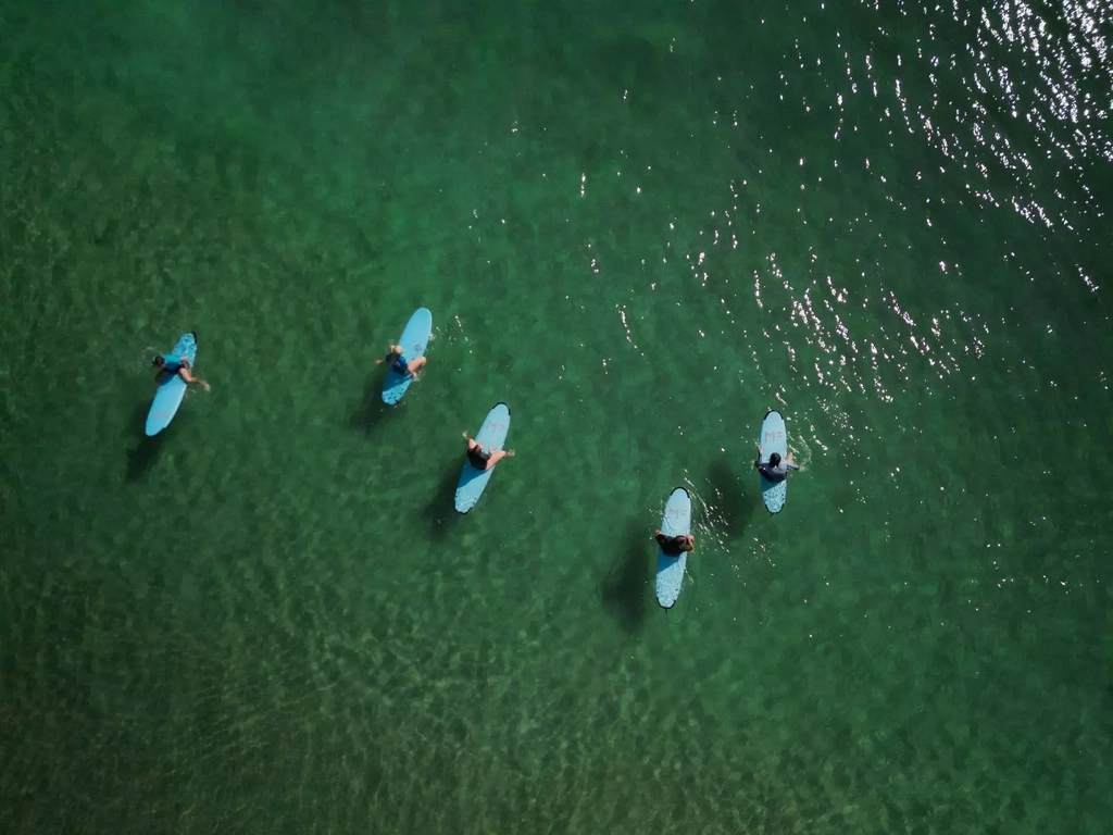 Surfers on boards in the water