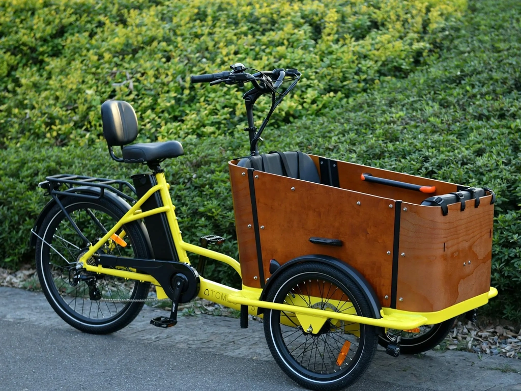 Family cargo E-Trike