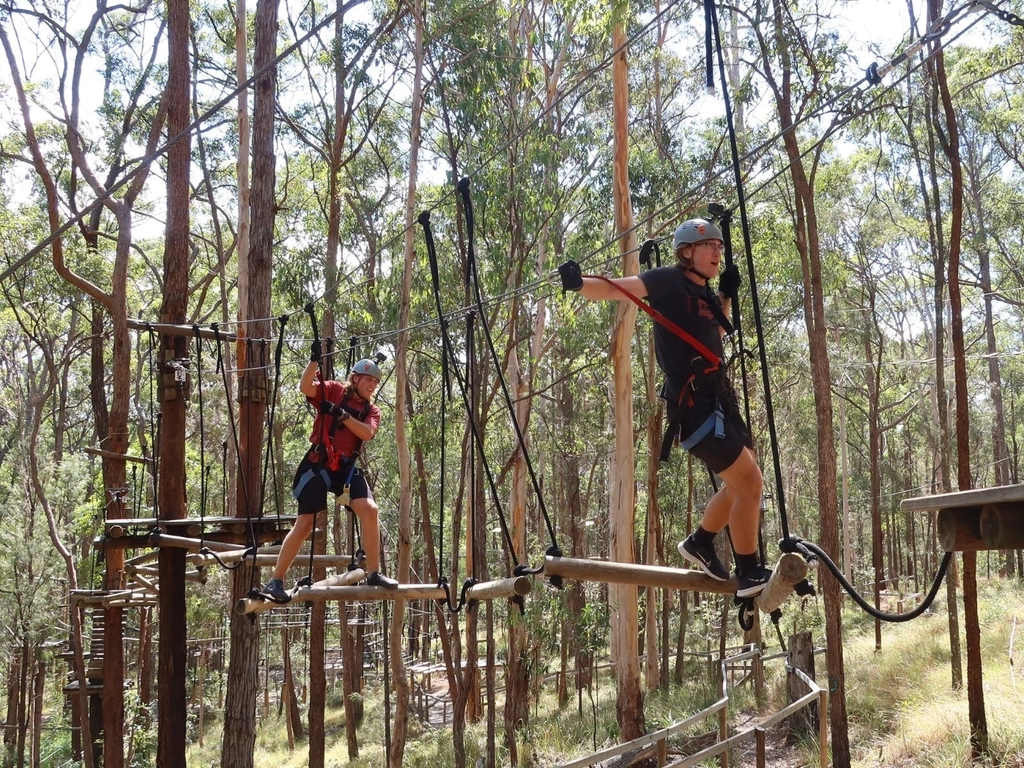 2 guests walking along a wobbly log bridge obstacle on the high-wire course