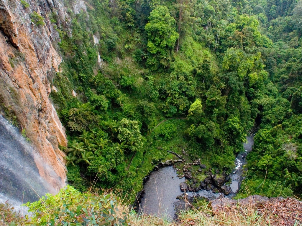 View above falls looking down to pool below, surrounded by rainforest.