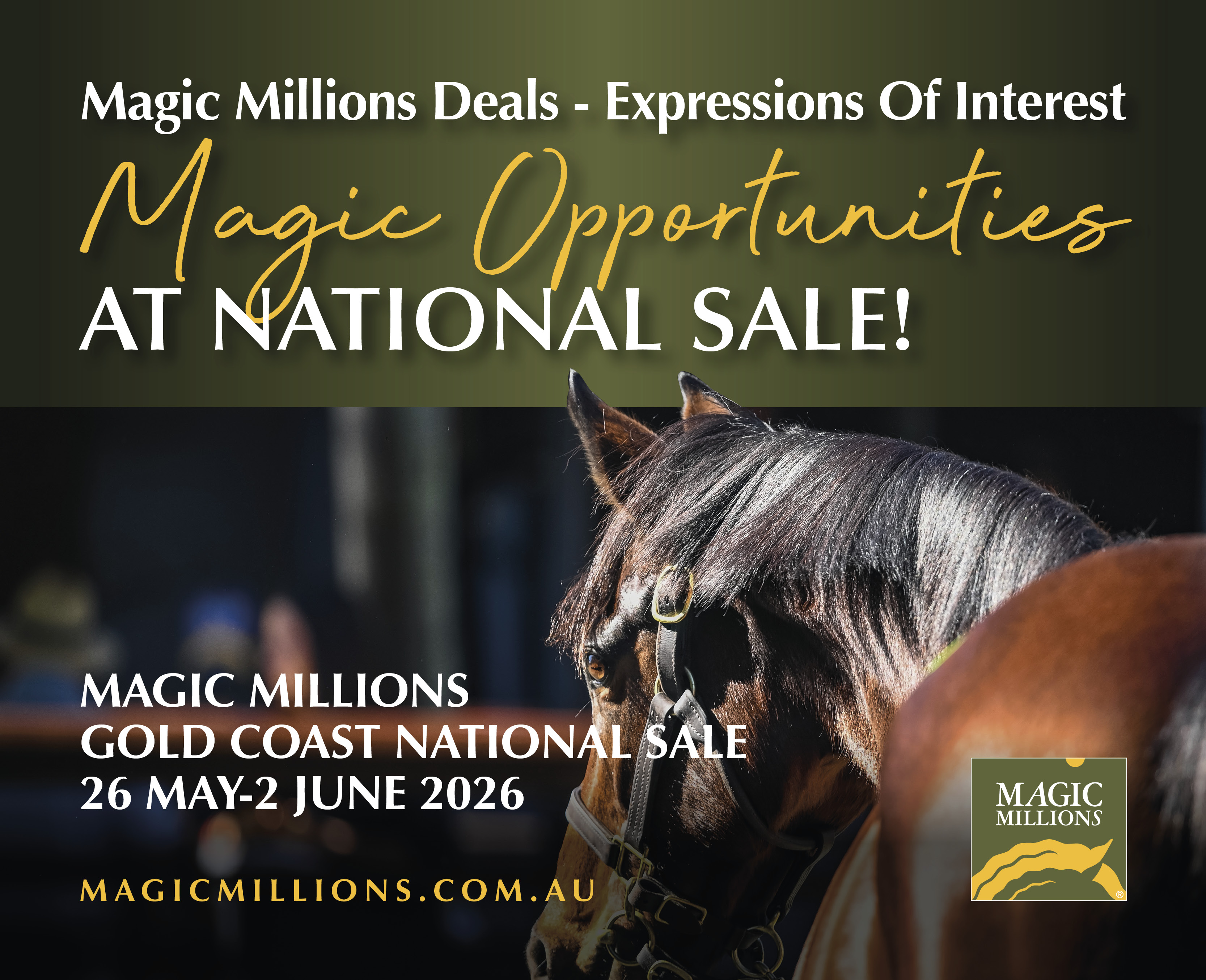 Magic Millions (2) (1).jpg