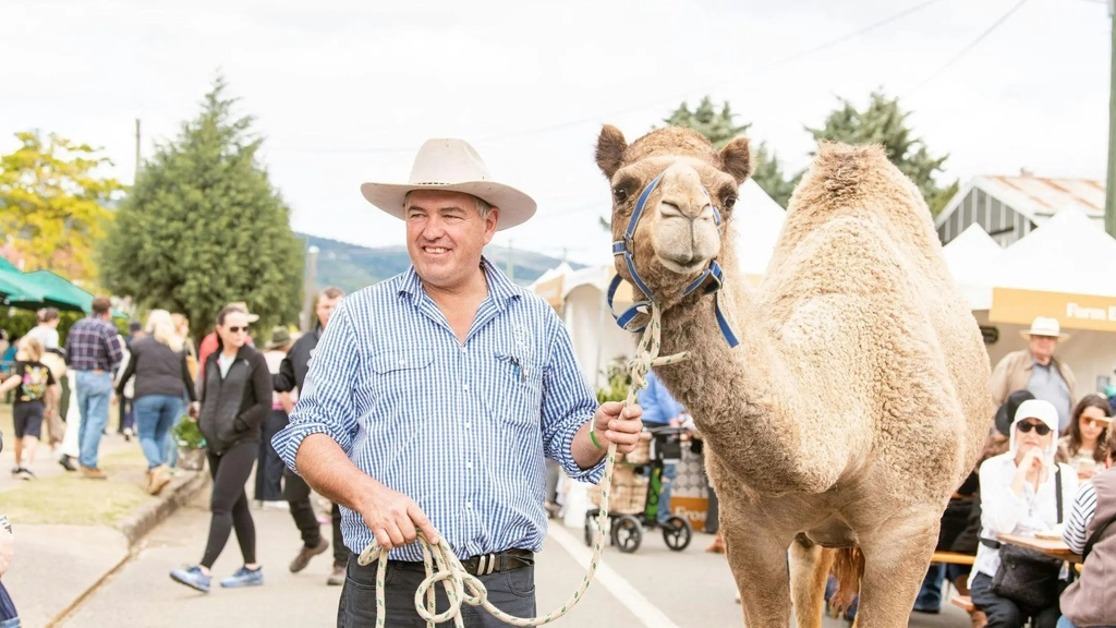 Scenic Rim's Winter Harvest Festival Image 7