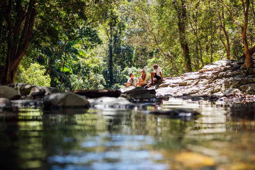 Awol: A Weekend Exploring Nature Around the Gold Coast