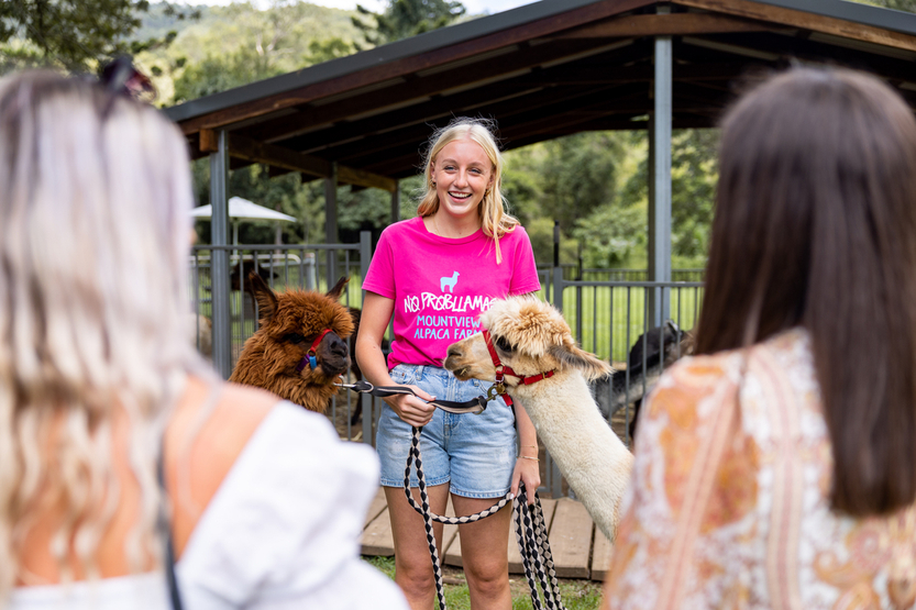 Mountview Alpaca Farm