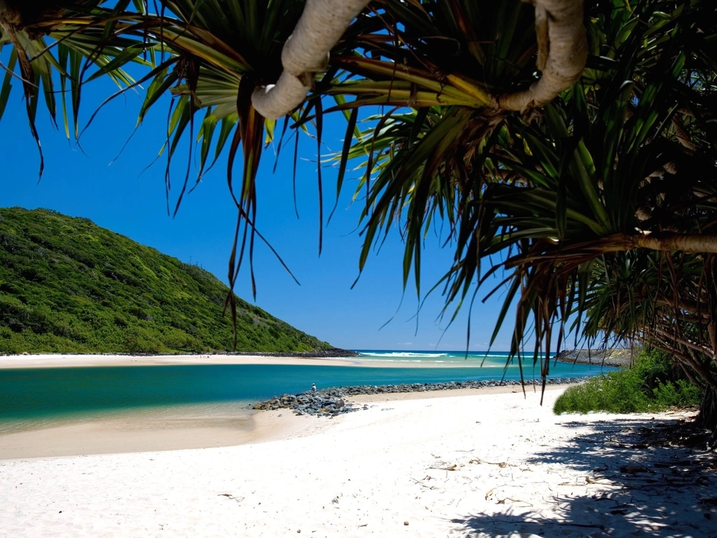 The sparkling creek of Tallebudgera