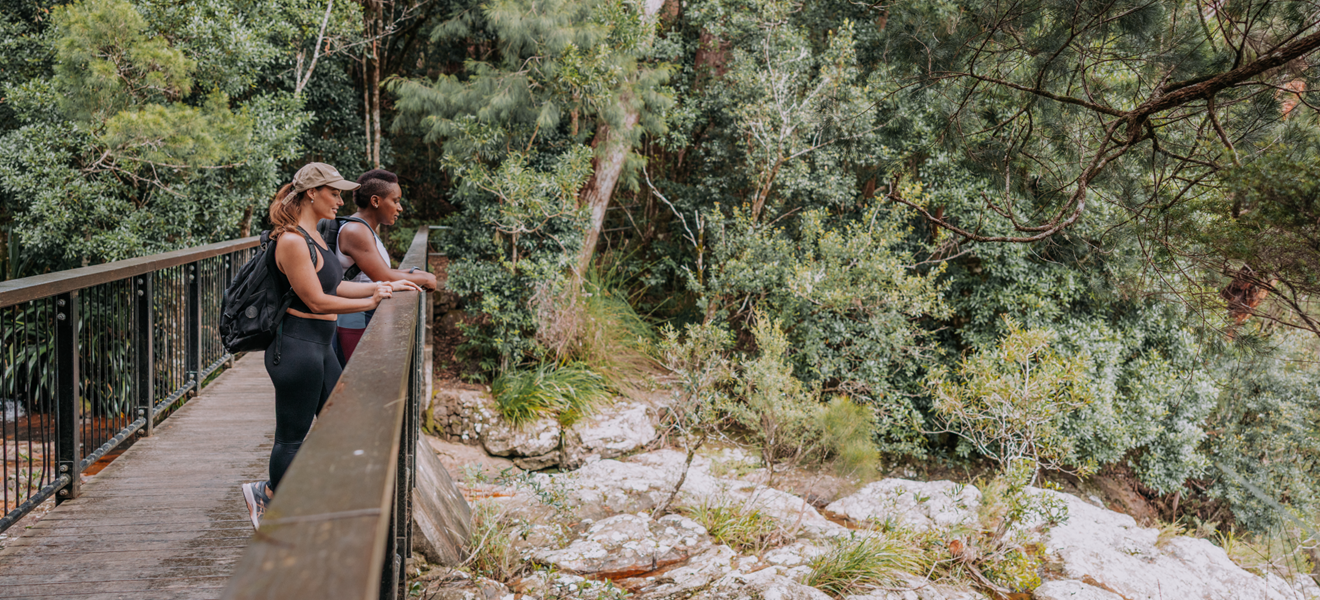 NBT Lookout Hinterland.png