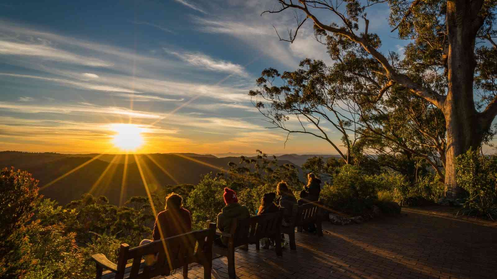 Binna Burra: Natural Wonder