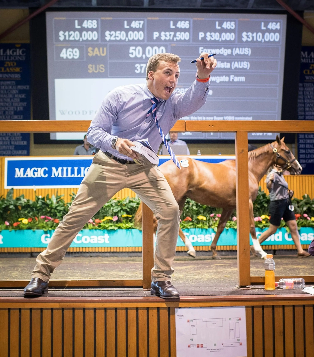Magic Millions Gold Coast Yearling Sale 2026 Image 1